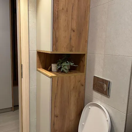 Carpathian Apartment