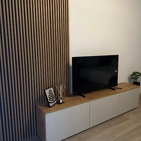 Apartment Carpathian