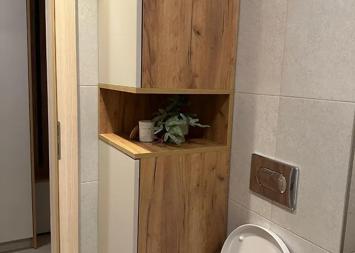 Carpathian Apartment